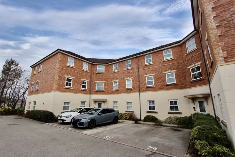 Main Image